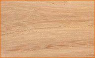 beech lumber