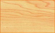 hard maple