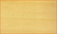 poplar lumber