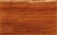 spanish cedar