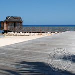 Ipe Wood Decking