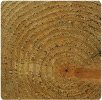 pressure treated 4x4