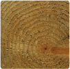 pressure treated 4x4