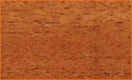 south american mahogany