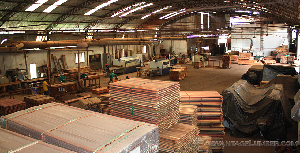 Advantage Tours Brazilian Lumber Mill