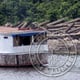 <strong>BRAZIL<br /> 9:25 am</strong><br />Here, In the forground we see a Brazilian boat, and in the background we see fresh cut trees waiting to get milled.