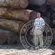 <strong>BRAZIL<br /> 10:30 am</strong><br />And, thats me again... In front of MORE ipe logs.