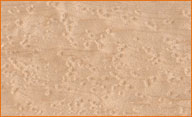 Birdseye Maple Flooring