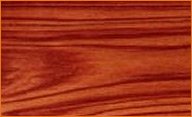 tulipwood lumber