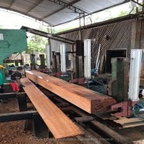 Milling Tigerwood logs at our Brazilian sawmill.