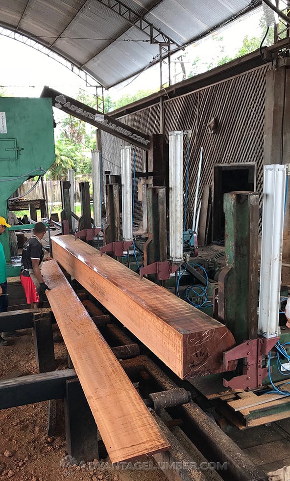 Milling Tigerwood logs at our Brazilian sawmill.
