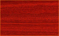 Bloodwood