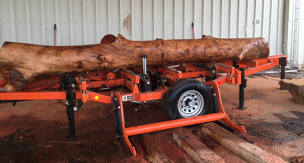 eucalyptus logs