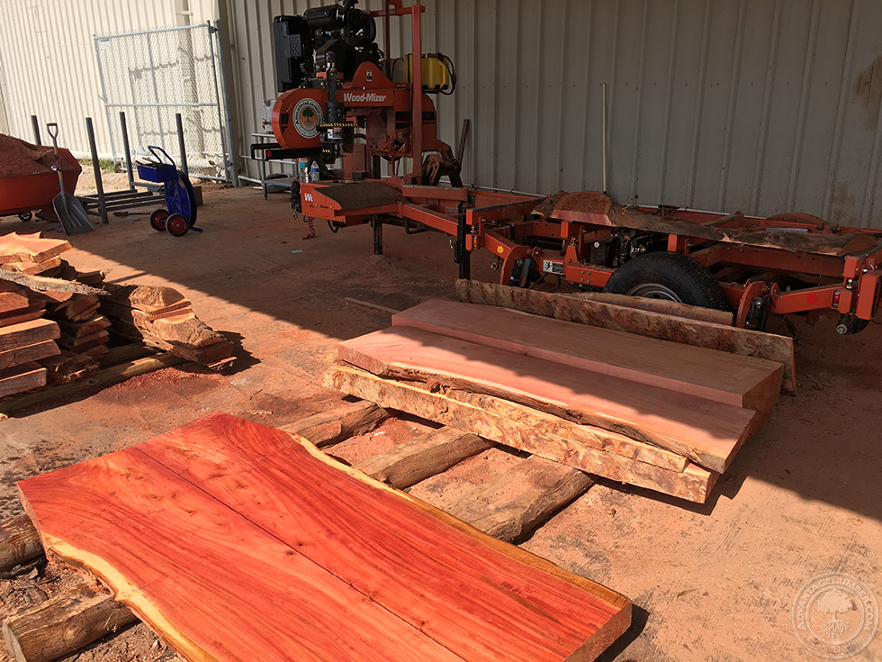 eucalyptus lumber slabs