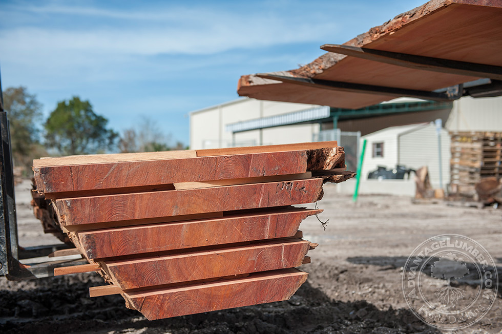 eucalyptus lumber milling