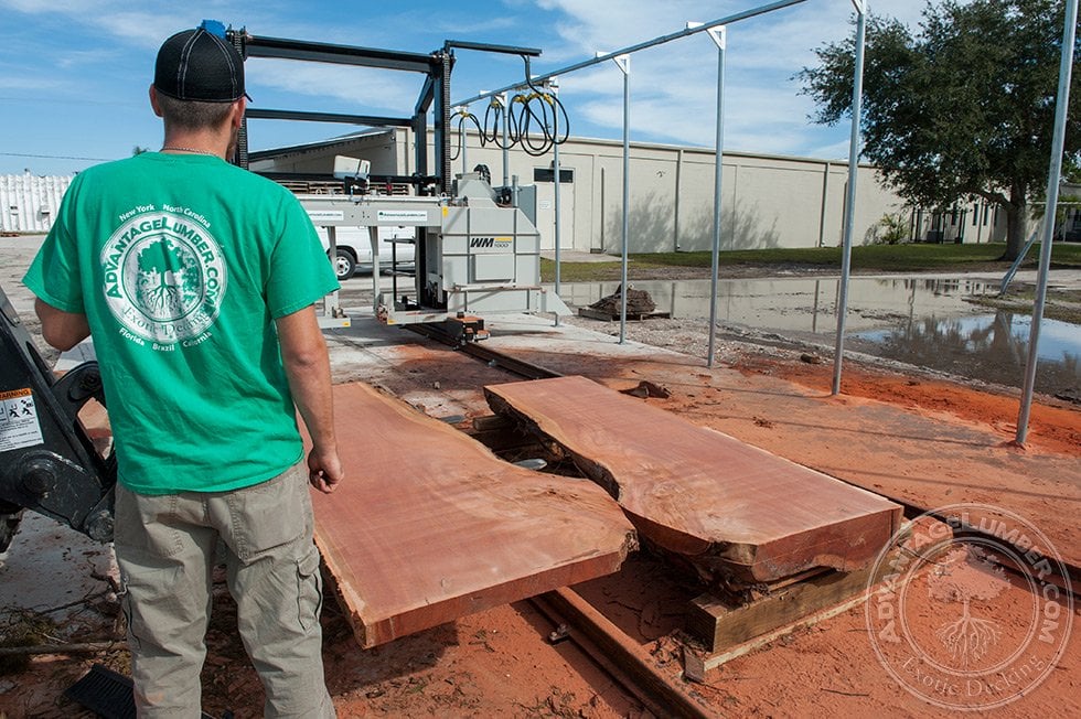 eucalyptus lumber milling