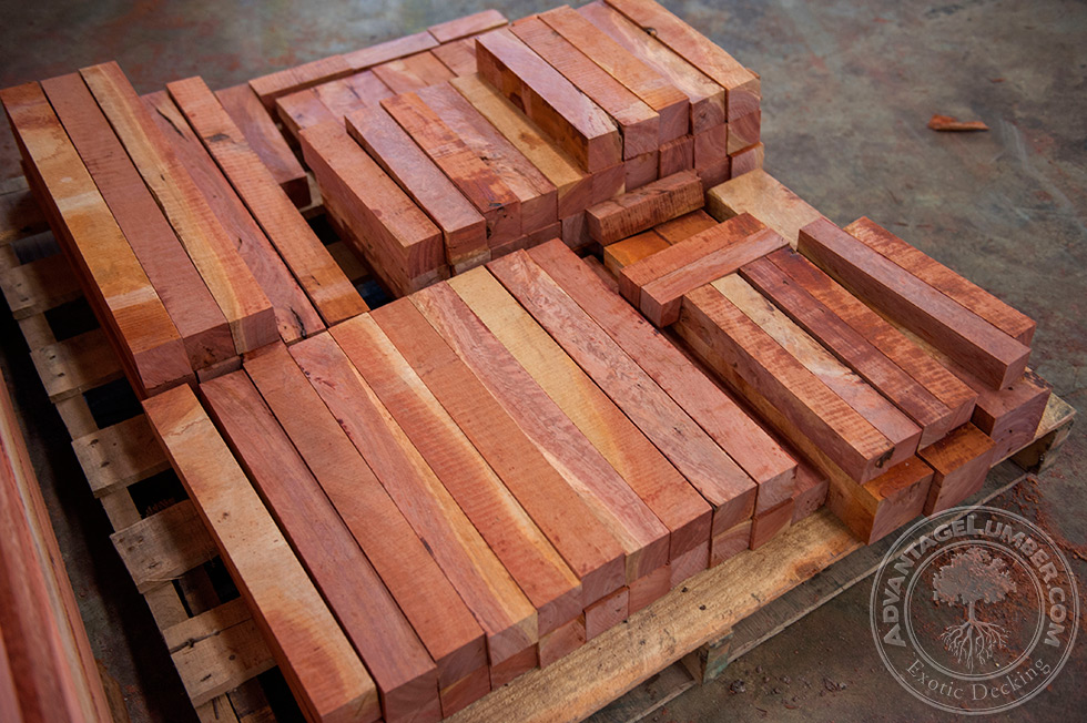 eucalyptus turning blanks