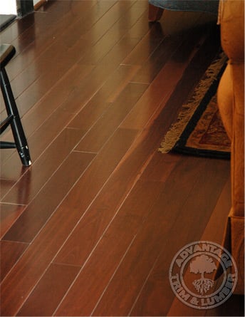 Beautiful Black Walnut