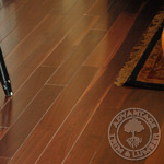 Beautiful Black Walnut