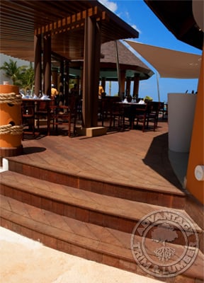 Ipe material is great in numerous outdoor applications such as these stairs and deck.
