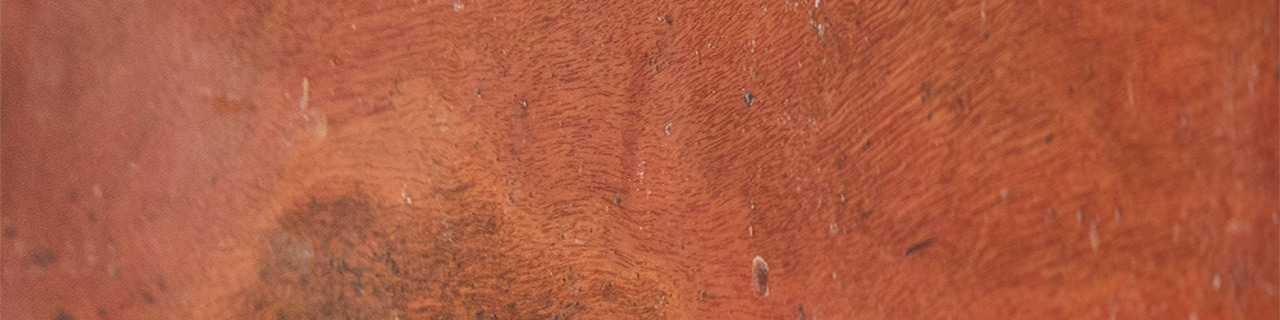 bishopwood turning blanks