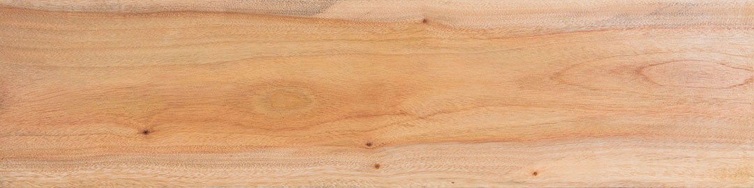 camphor turning blanks