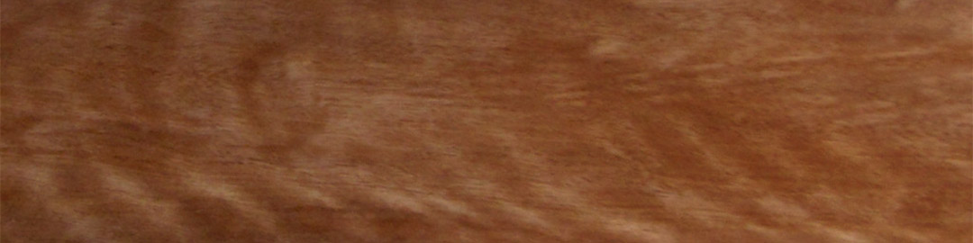 melaleuca turning blanks