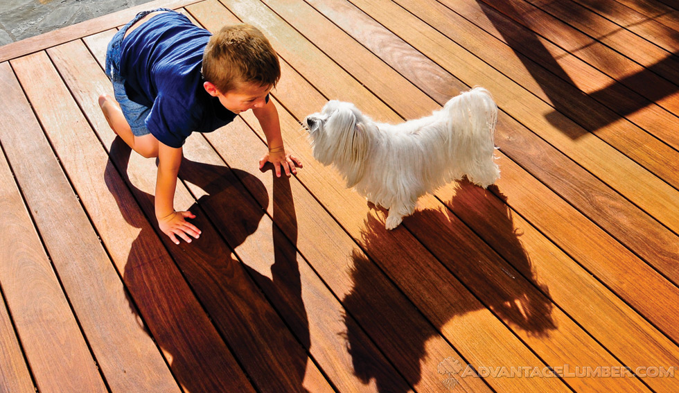 Ipe Decking 2x4  Low Cost and Durable - Hardwood Decking Supply