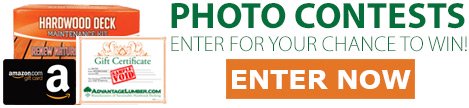 photo contest