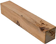 eucalyptus lumber