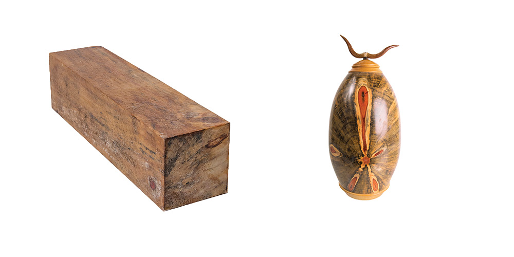 Norfolk Island Pine Turning Blanks Norfolk Island Pine Turning Blanks