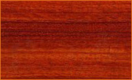 African Padauk