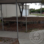 Florida Plant Deck