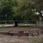 Florida Plant Deck