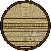 plain sawn