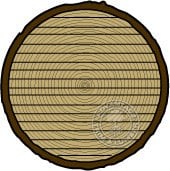 plain sawn