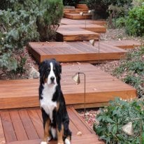 This unique staggered stair entryway really came to life with Tigerwood Decking.