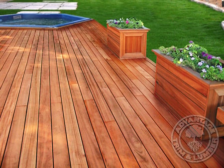 Beautiful Tigerwood deck with a hottub.