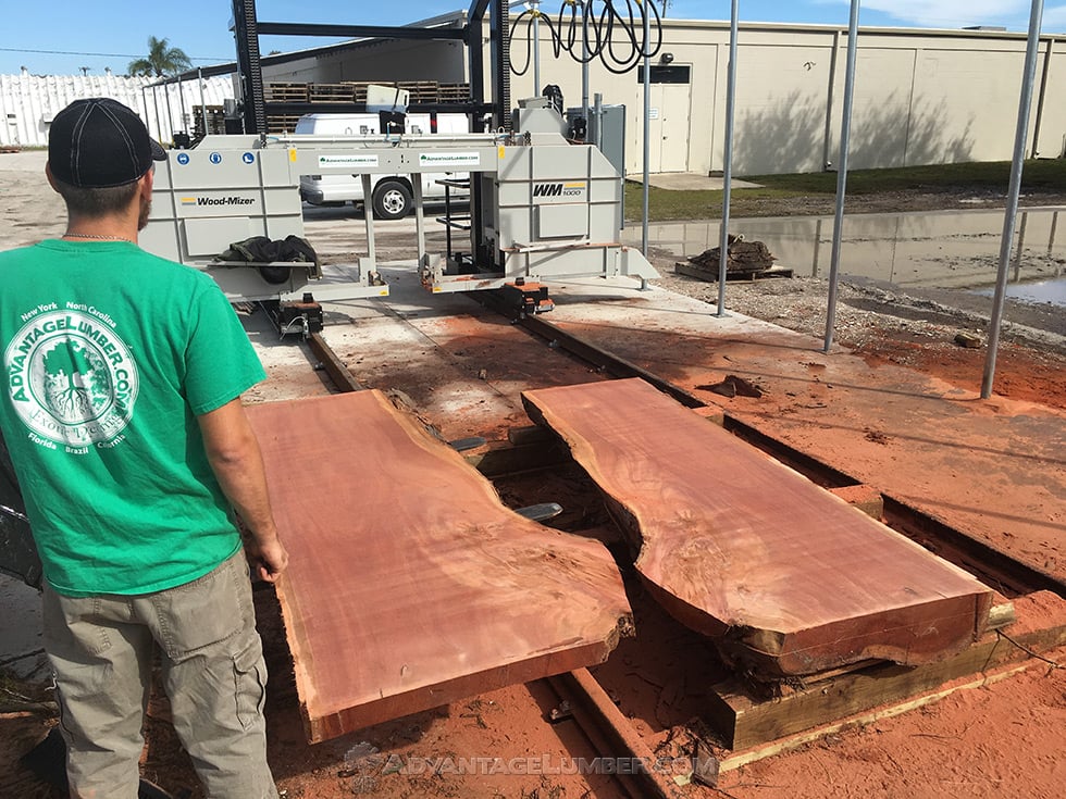 eucalyptus wood slab