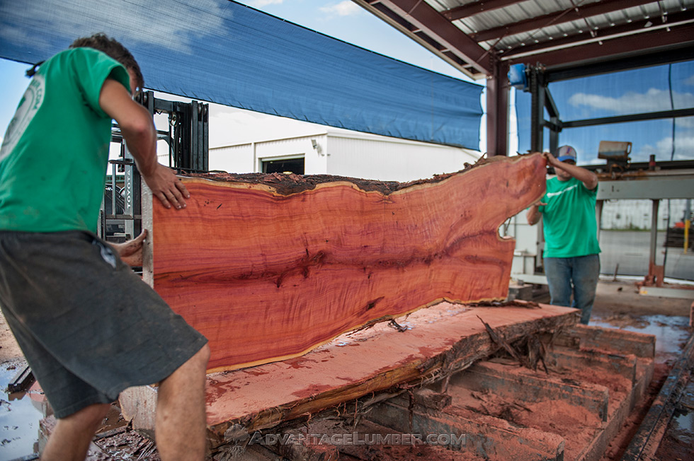 cutting logs