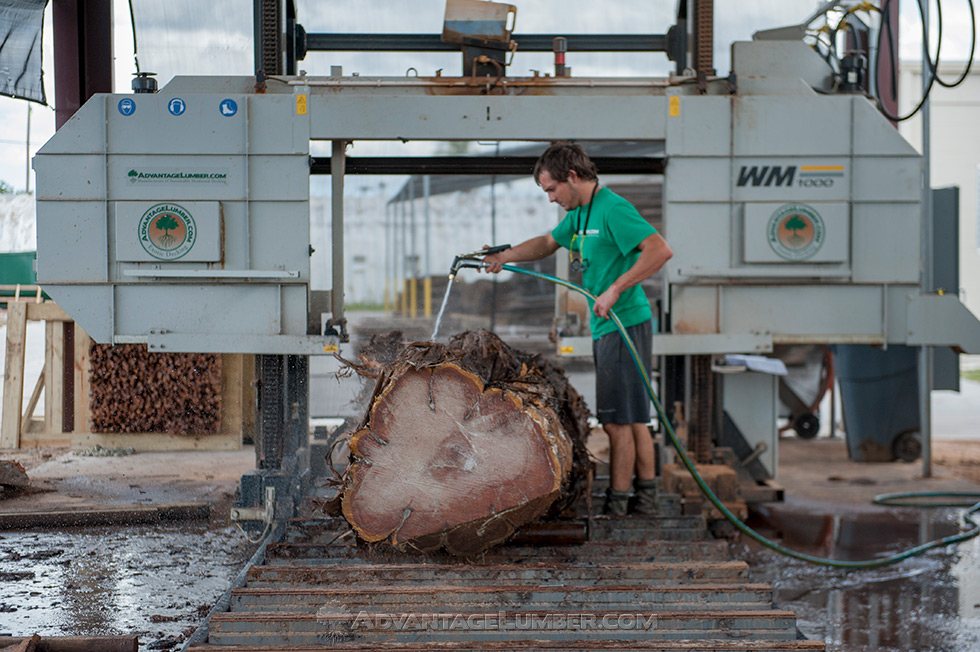 wood slab cutting