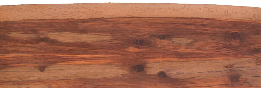 australian beefwood