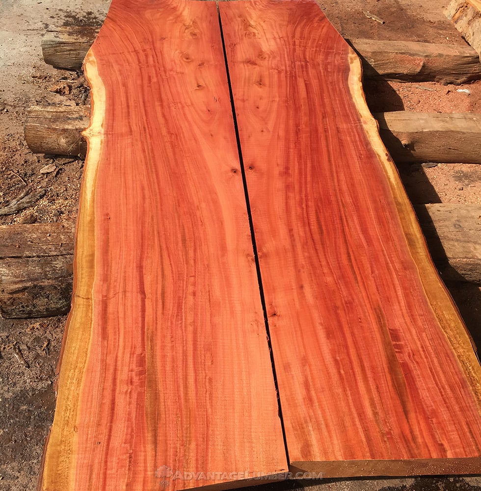 eucalyptus wood slabs