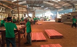 brazil mill