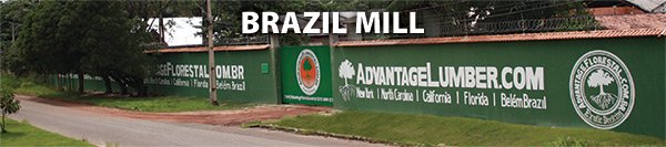 brazil mill