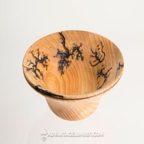 Southern Yellow Pine by Moe Gingerich