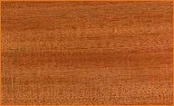 African Mahogany