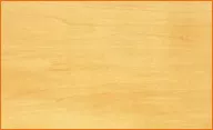 Basswood
