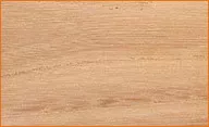 Beech