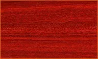 Bloodwood